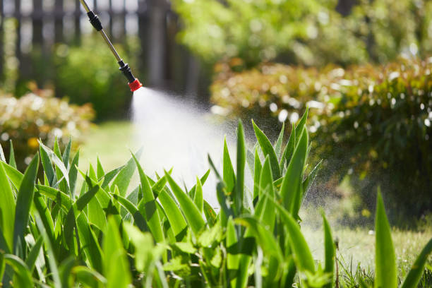 24/7 Emergency Mosquito Control experts in DeWitt, AR